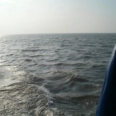 Wiesenblick * Pellworm