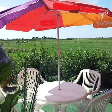 Wiesenblick Pellworm