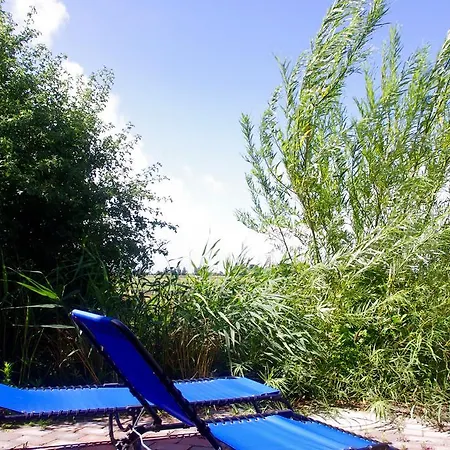 Wiesenblick * Pellworm