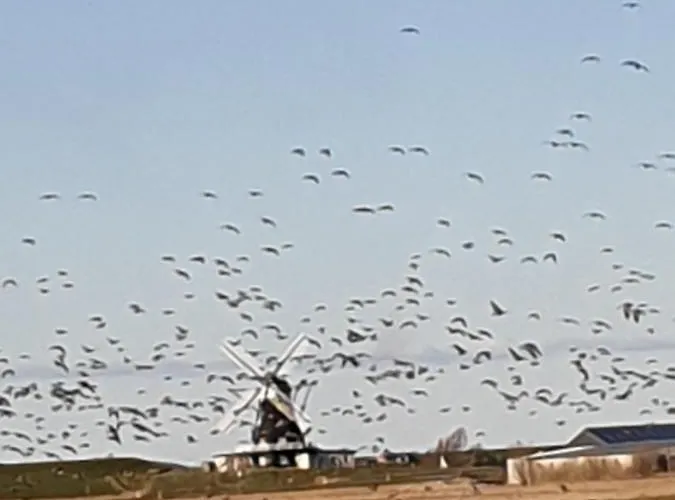 Appartement Wiesenblick