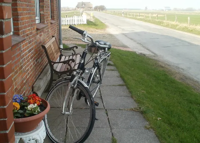 Wiesenblick * Pellworm