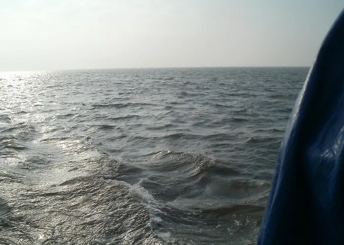 Wiesenblick * Pellworm