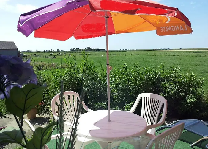 Wiesenblick Pellworm