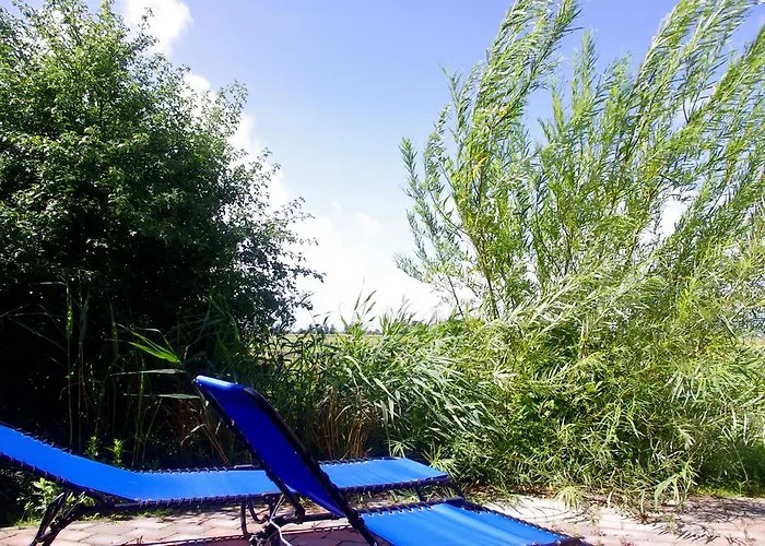 Wiesenblick * Pellworm