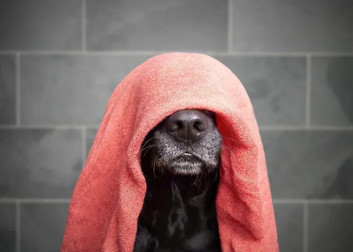 Wiesenblick * Pellworm